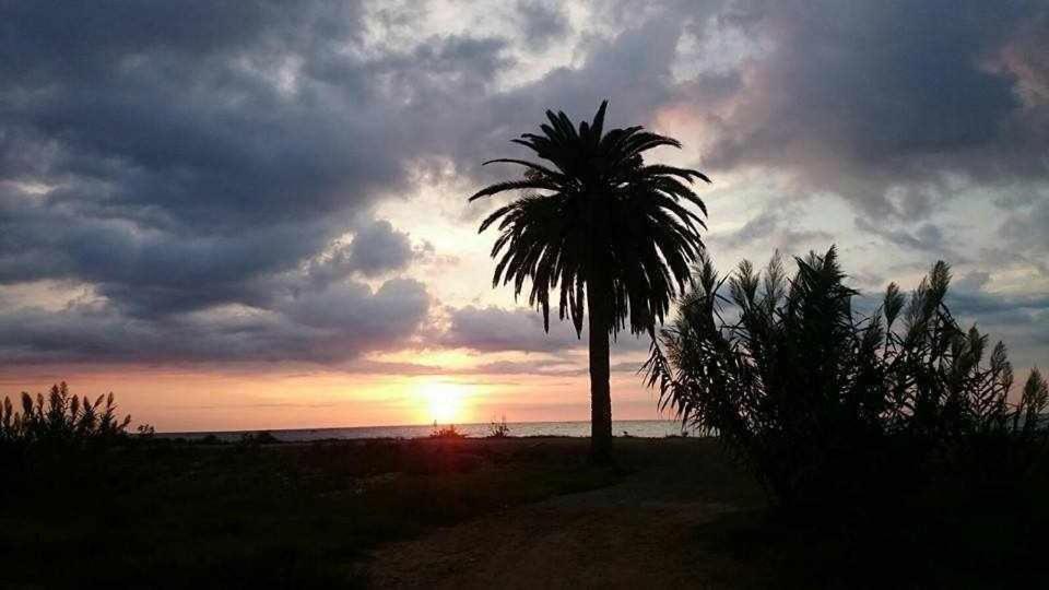 Mediterrania Marina Puerto de Sagunto Quarto foto
